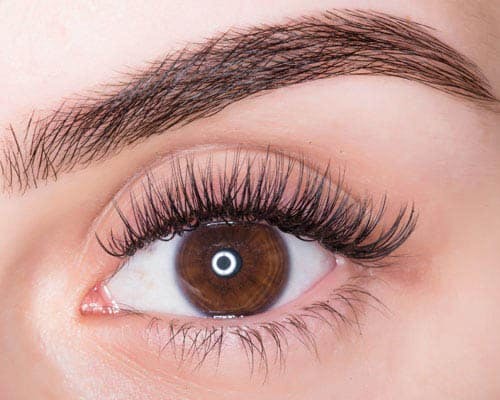 Eyelash Extensions Infills