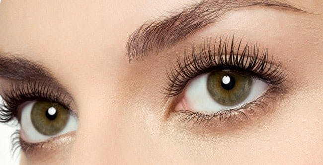 Eye Trio - Eyebrow & Eyelash Tint with Eyebrow Shape